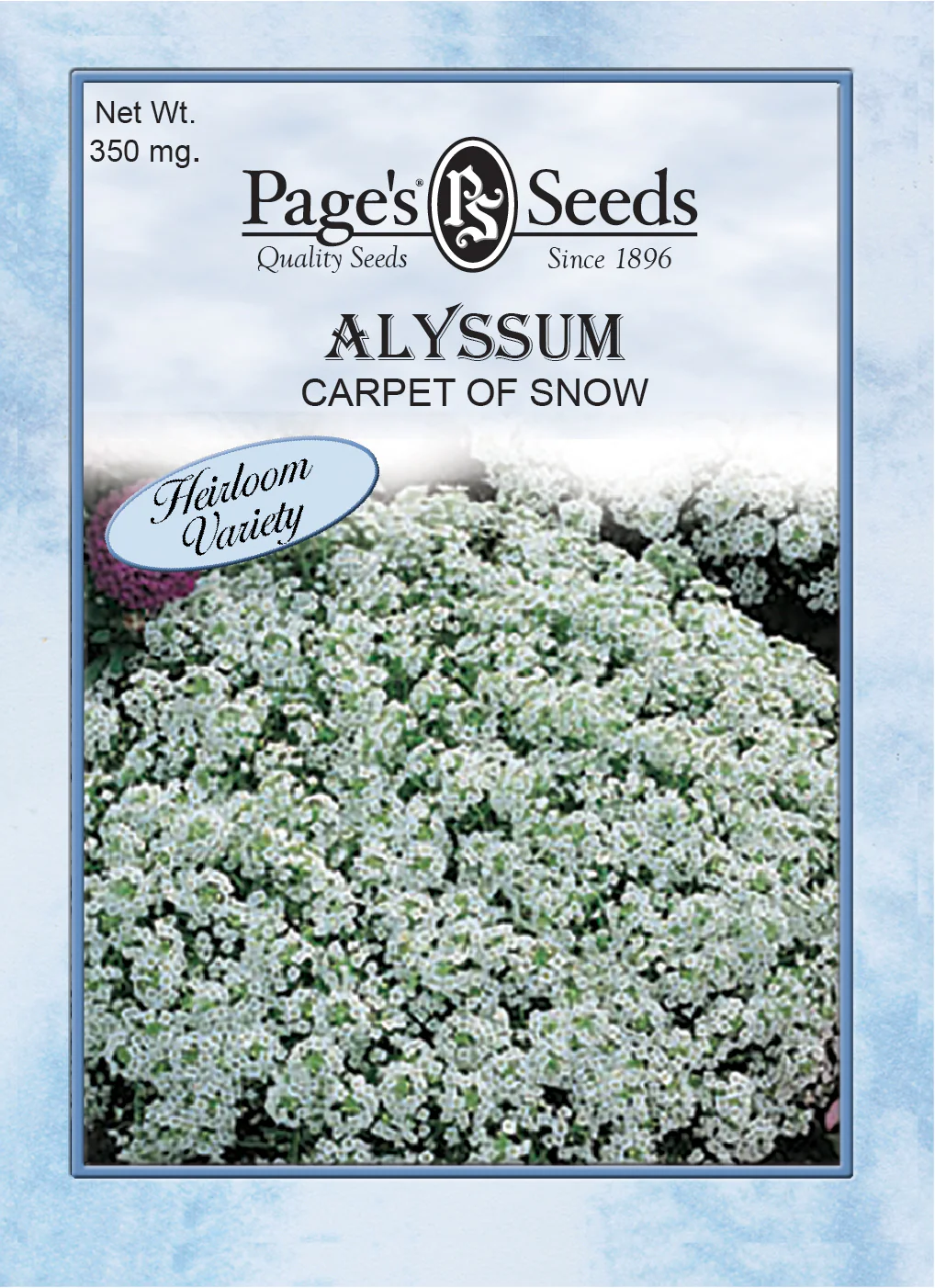 Alyssum Carpet of Snow Seeds - 1 Packet