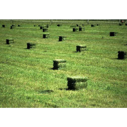 Alfalfa Seed All Natural (Non-GMO) - Image 3
