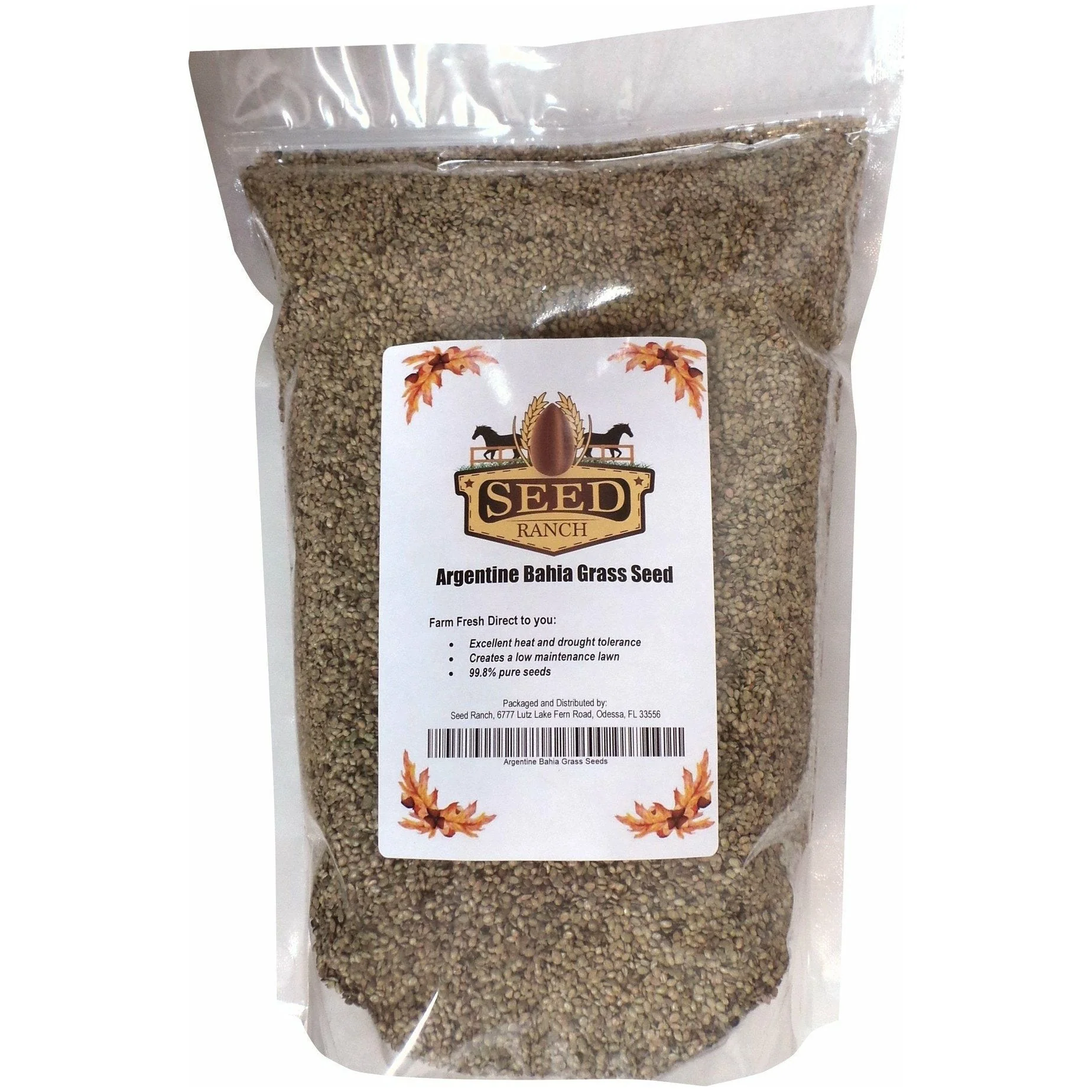 Argentine Bahia Grass Seed (Coated) - Image 3