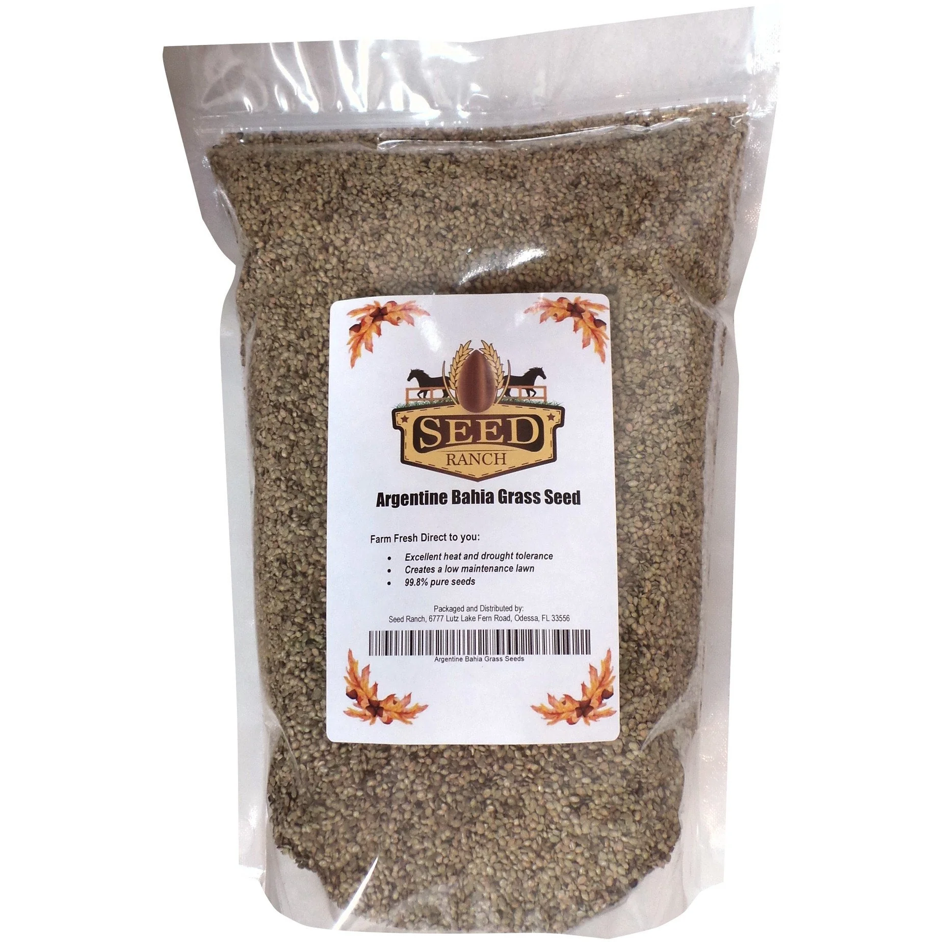 Argentine Bahia Lawn Grass Seed (Raw) - Image 3