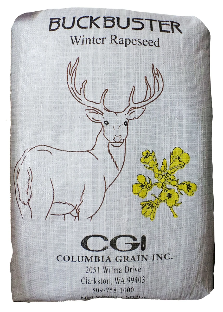 Trophy Rape Food Plot Seed - Image 4