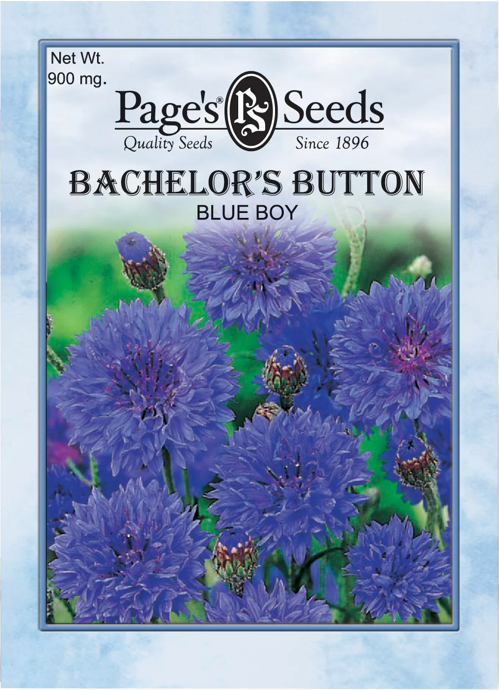 Bachelor’s Button Blue Boy Seeds - 1 Packet