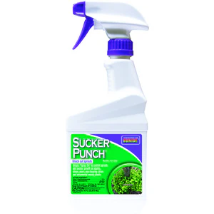 Bionide Sucker Punch