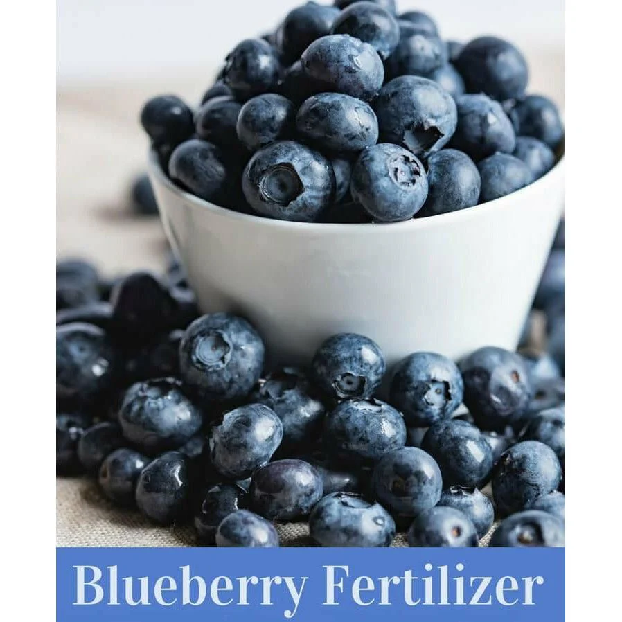 Special Blueberry 12-6-8 Fertilizer - 50 Lbs. (Discontinued)