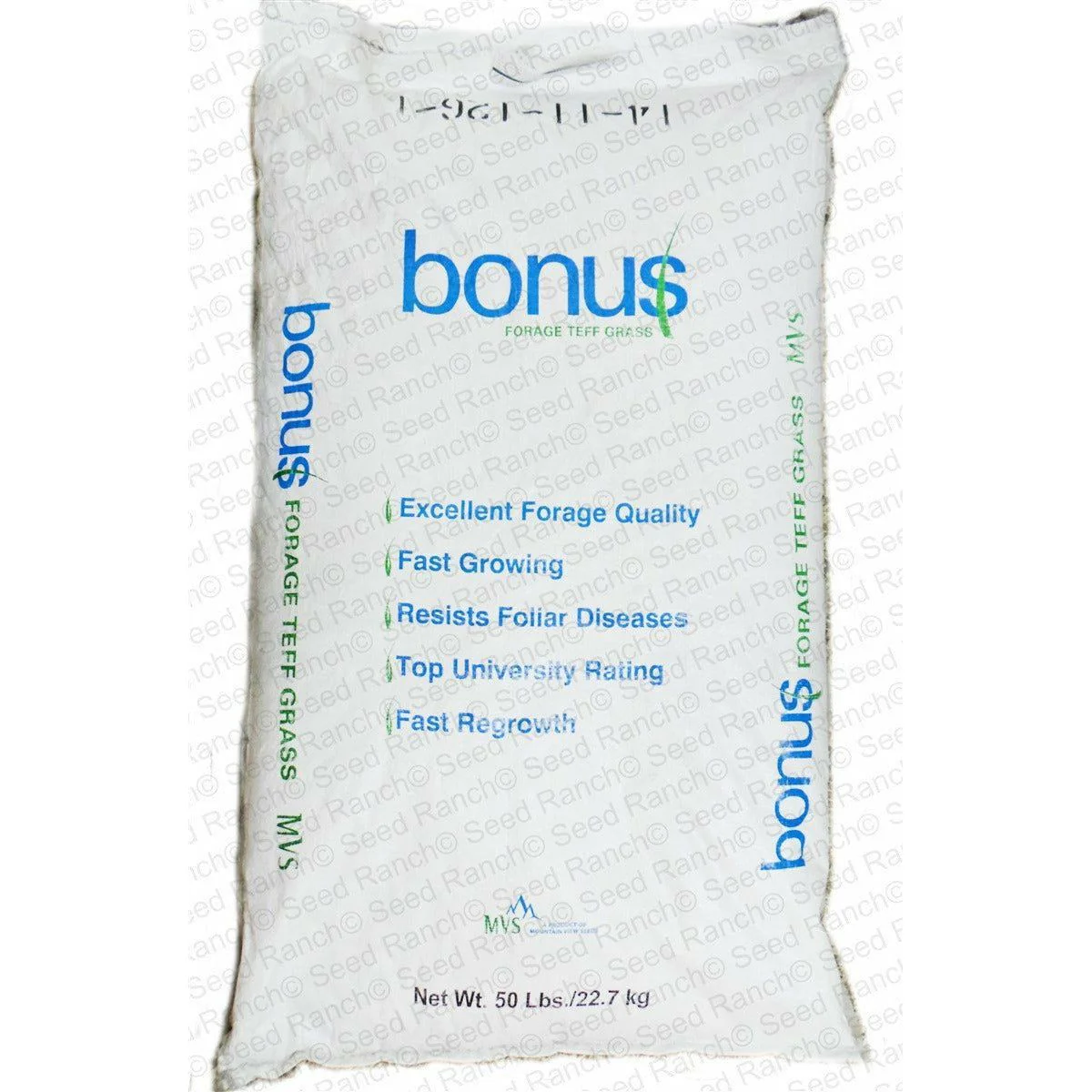 Bonus Teff Grass Seed - Image 3