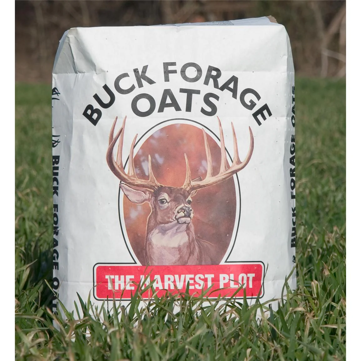 Buck Forage Oats Food Plot Seeds - Image 3