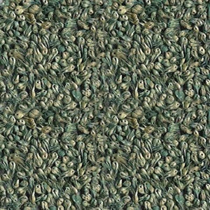 Buffalo Grass Seed Mixed with Blue Grama - Image 3