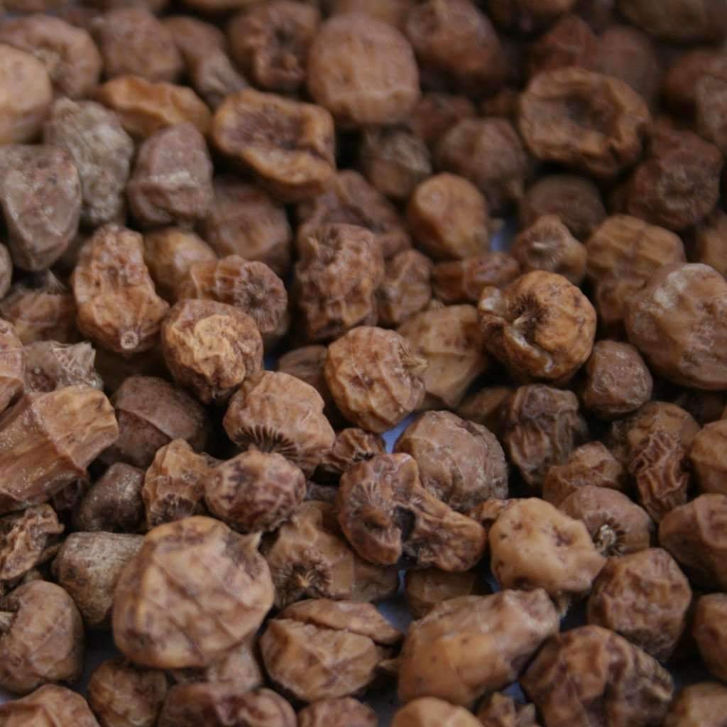 Chufa Seed - Image 3