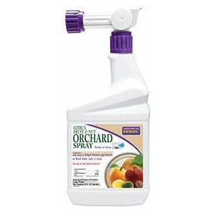 (On Backorder) Bonide Citrus, Fruit, and Nut Orchard Spray Insecticide Concentrate - 1 qt