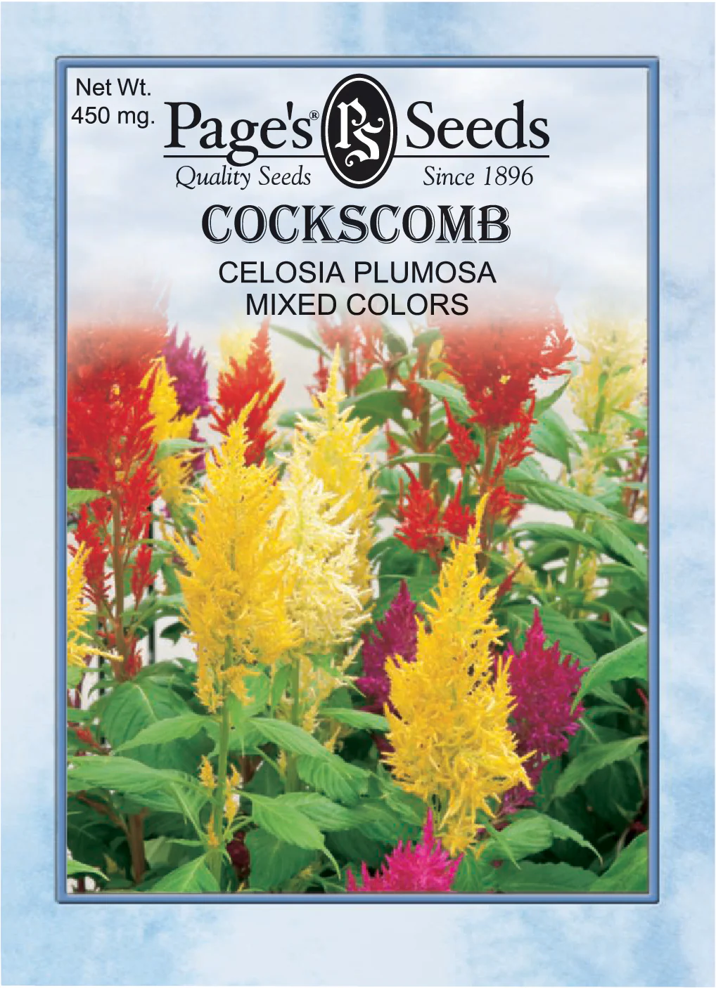 Cockscomb, Plumosa Mixed Seeds - 1 Packet