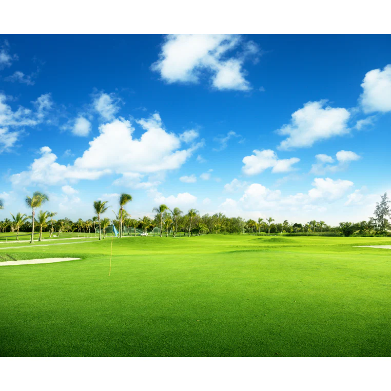 Oasis Turf-Type Bermuda Grass Seed Blend (Discontinued) - Image 2