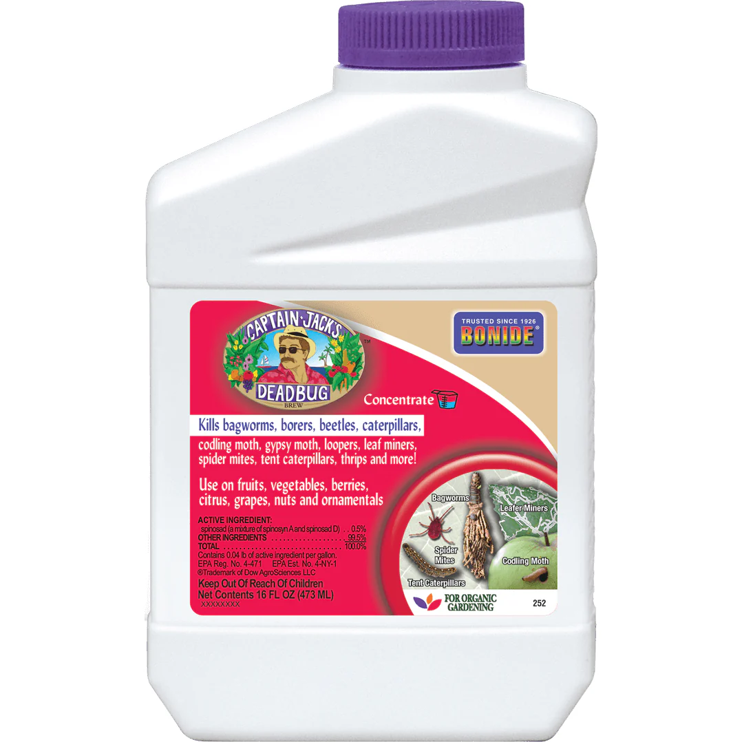Bonide Captain Jack's Deadbug Brew Concentrate