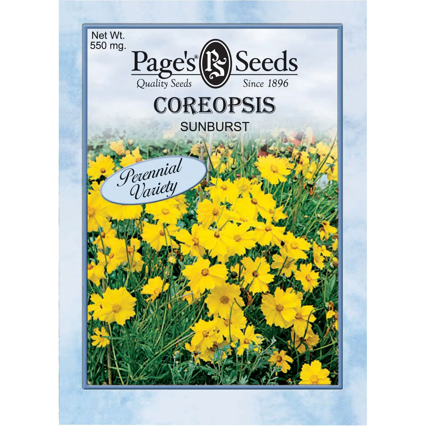 Coreopsis Sunburst Seed Perennial- 1 Packet