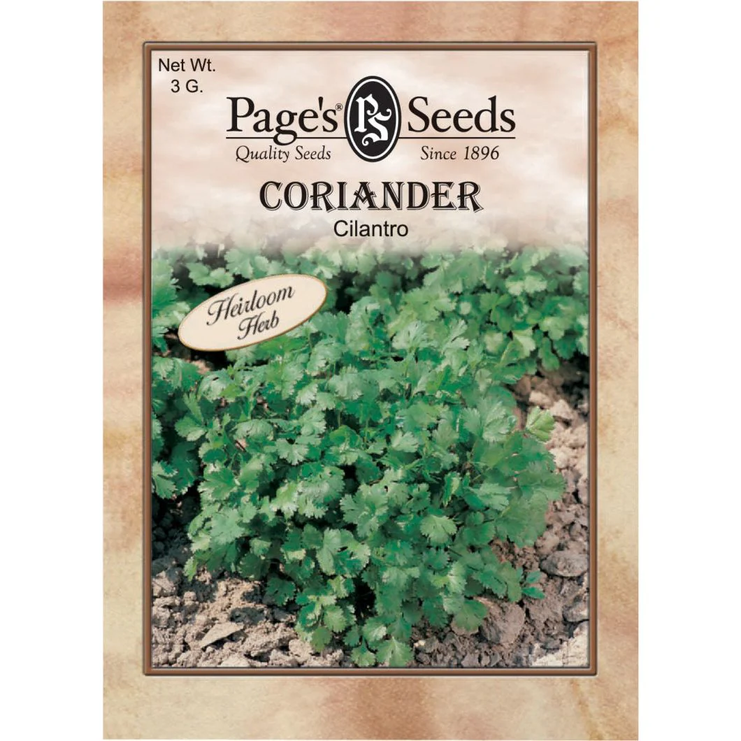Coriander Cilantro Herb Seed - 1 Packet