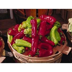 Cubanelle Pepper Seed - 1 Packet