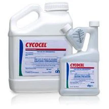 Cycocel PGR Plant Growth Regulator - 1 Gallon (Discontinued)