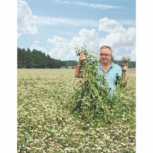 Fixation Balansa Clover Seed Coated & Inoculated - Image 2