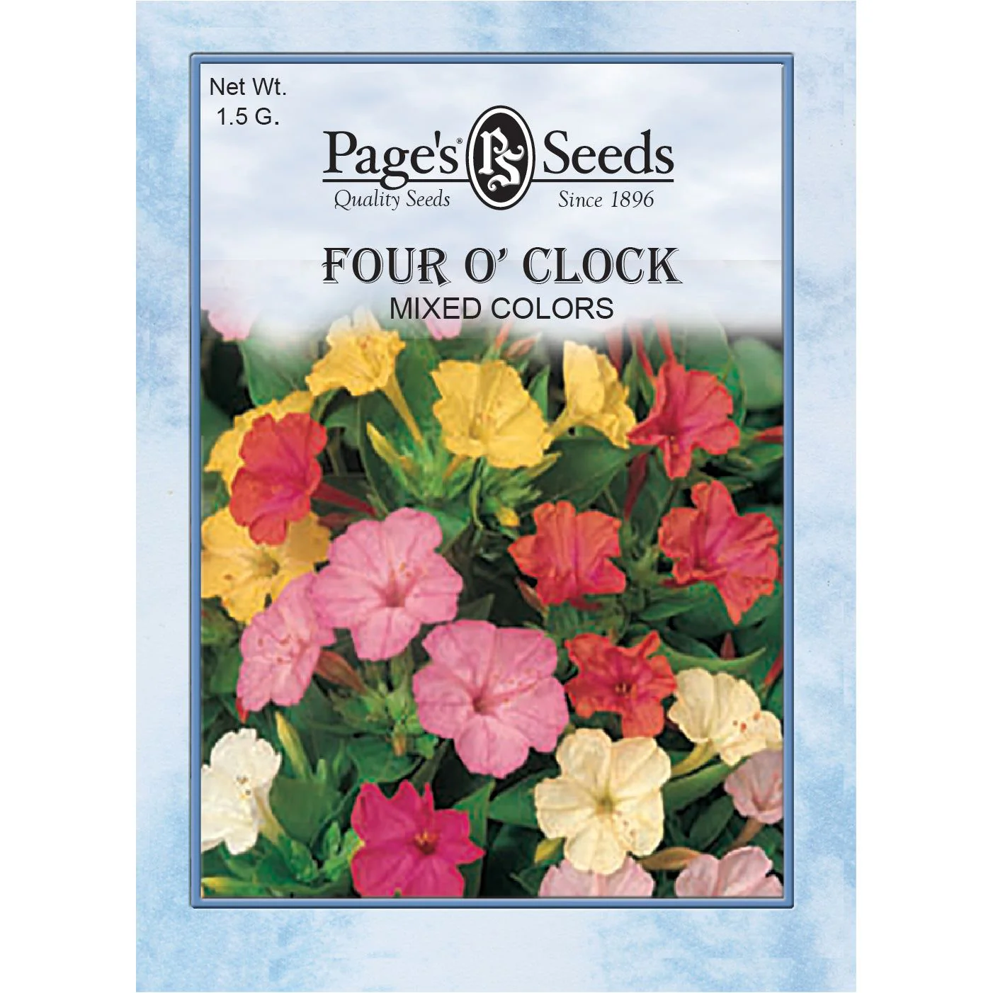 Four O’ Clock Marvel of Peru - Packet