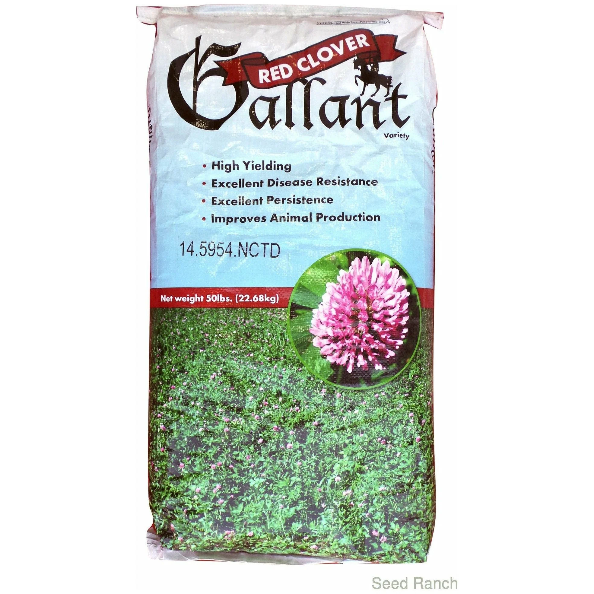 Gallant Red Clover Seed (Discontinued)