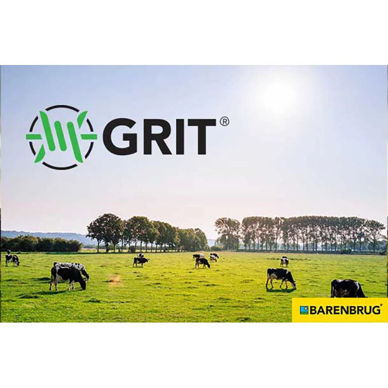 Grit Bermuda Grass Seed For Pasture - Image 2