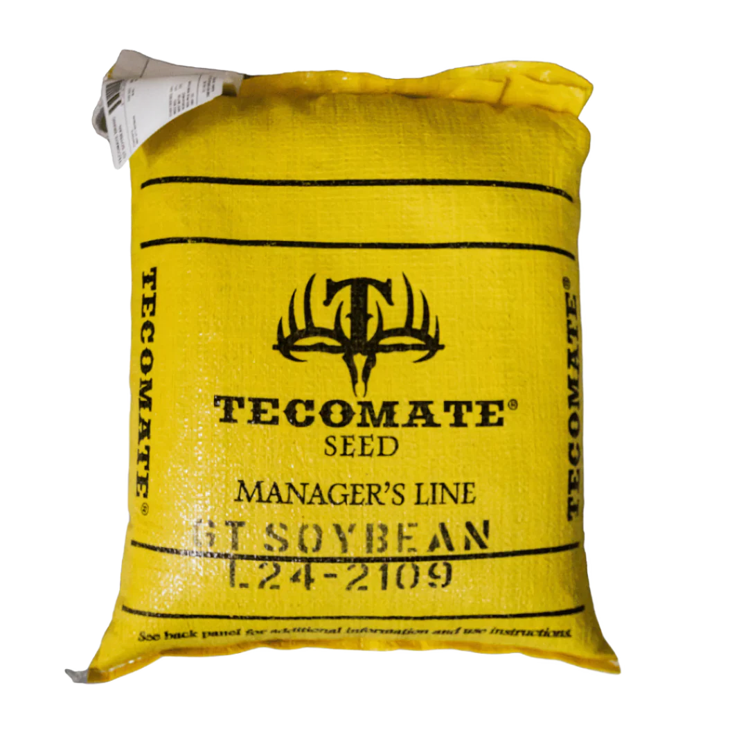 GT Forage Soybeans