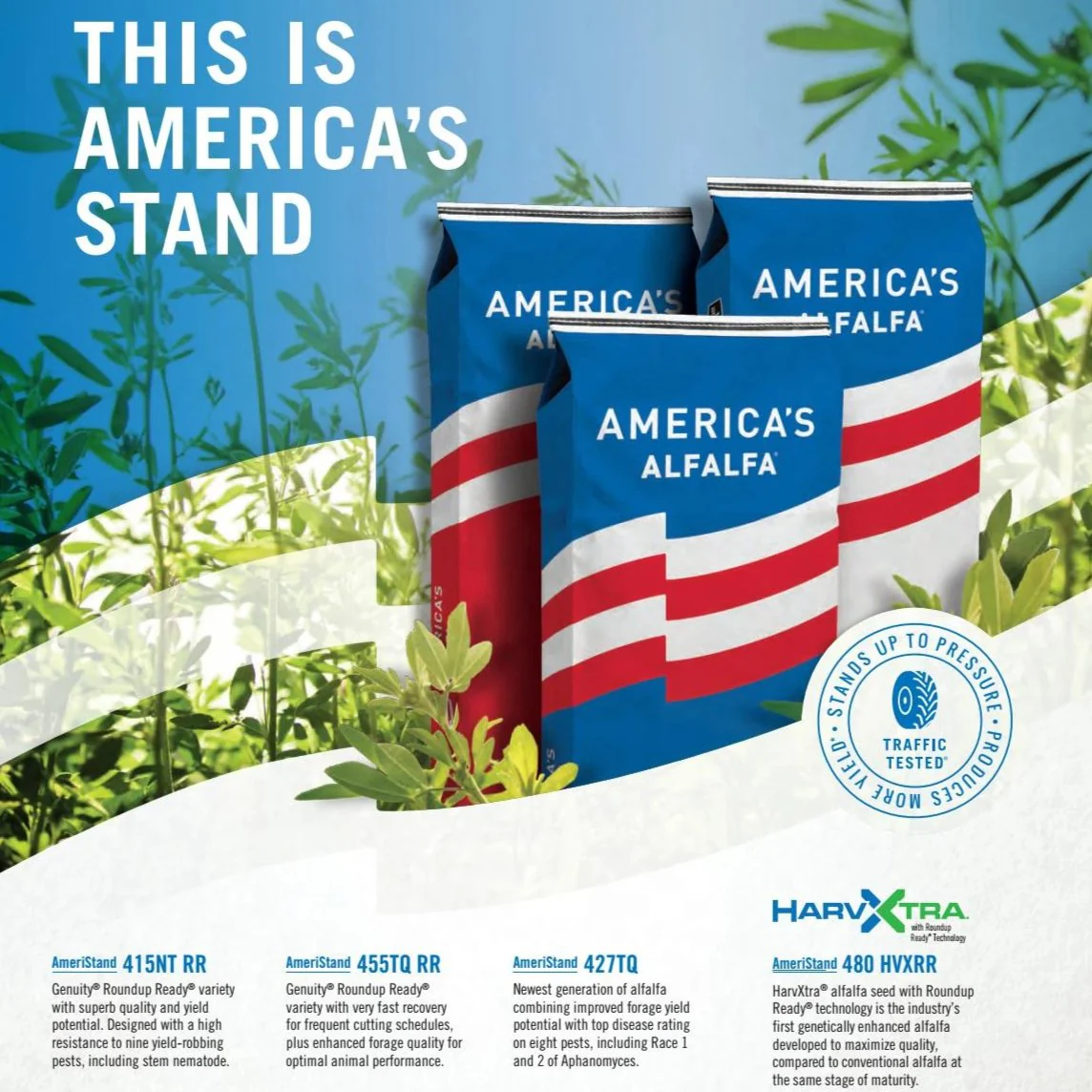 AmeriStand 480 HarvXtra RR Alfalfa Seeds - 50 Lbs. - Image 2