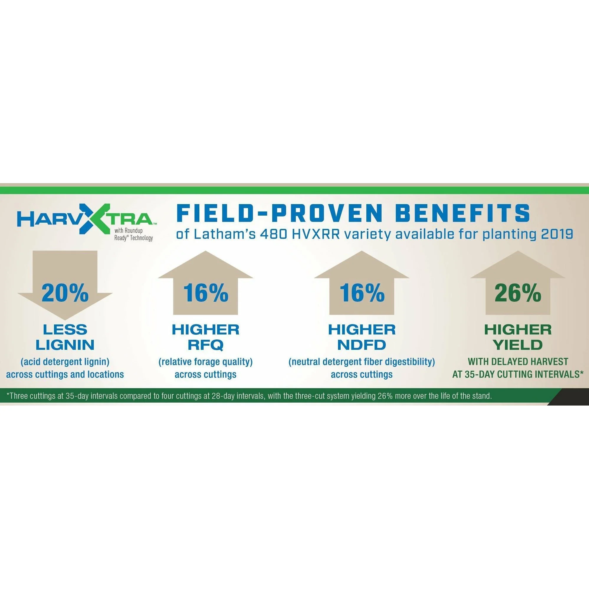 AmeriStand 480 HarvXtra RR Alfalfa Seeds - 50 Lbs. - Image 3