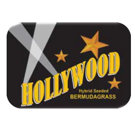 Hollywood Bermuda Grass Seed - 5 lbs