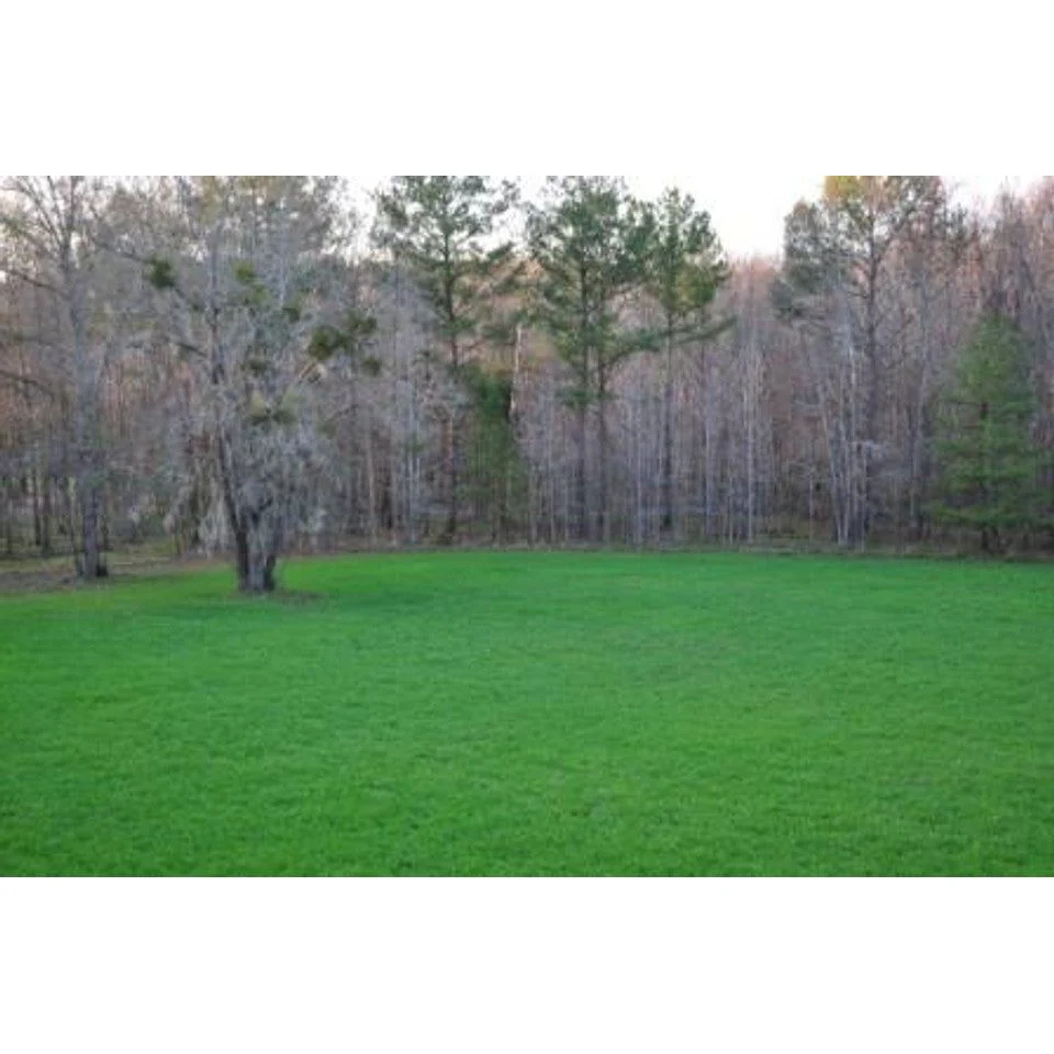 Imperial Whitetail Oats Plus Triticale - 45 Lbs. (0.5 acre) - Image 3