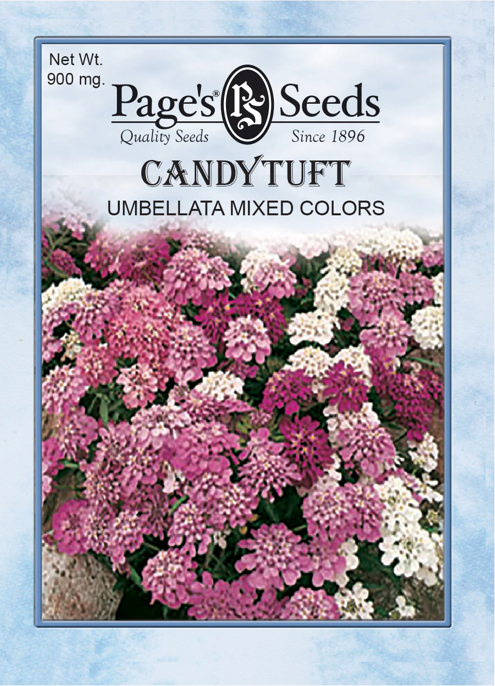 Candytuft, Umbellata Mixed Colors - 1 Packet