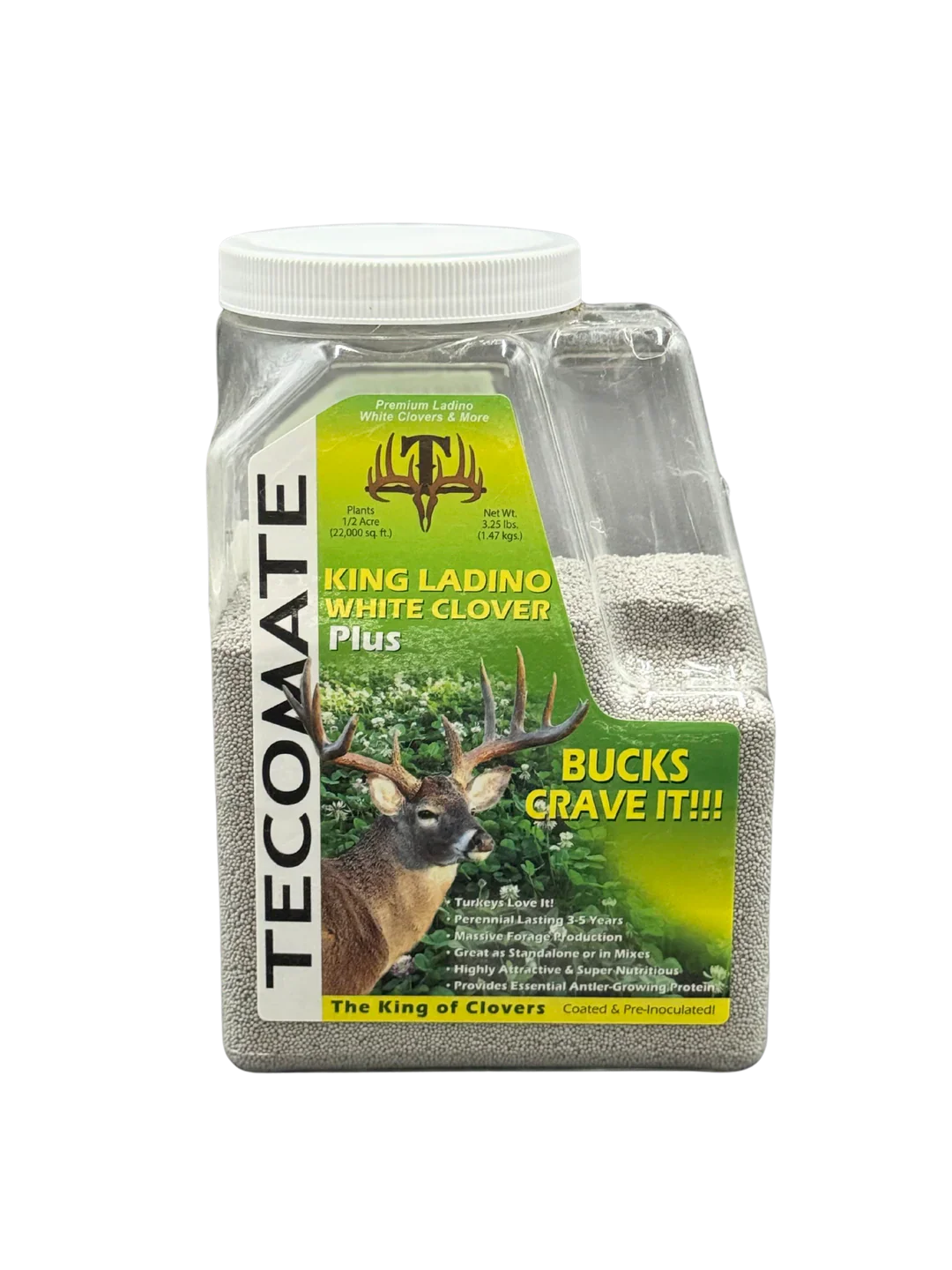 King Ladino White Clover