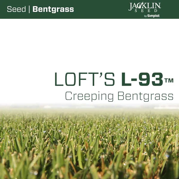 Loft's L-93 XD Creeping Bentgrass Seeds - 25lbs