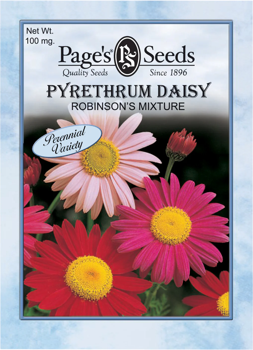 Pyrethrum, Robinson’s Mixture Seeds - 1 Packet