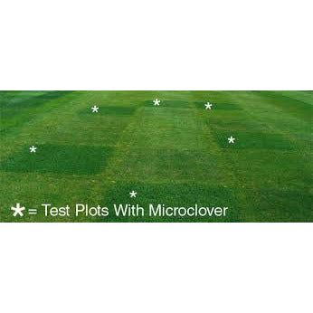 Micro Clover Seed Coated & Inoculated - Image 5