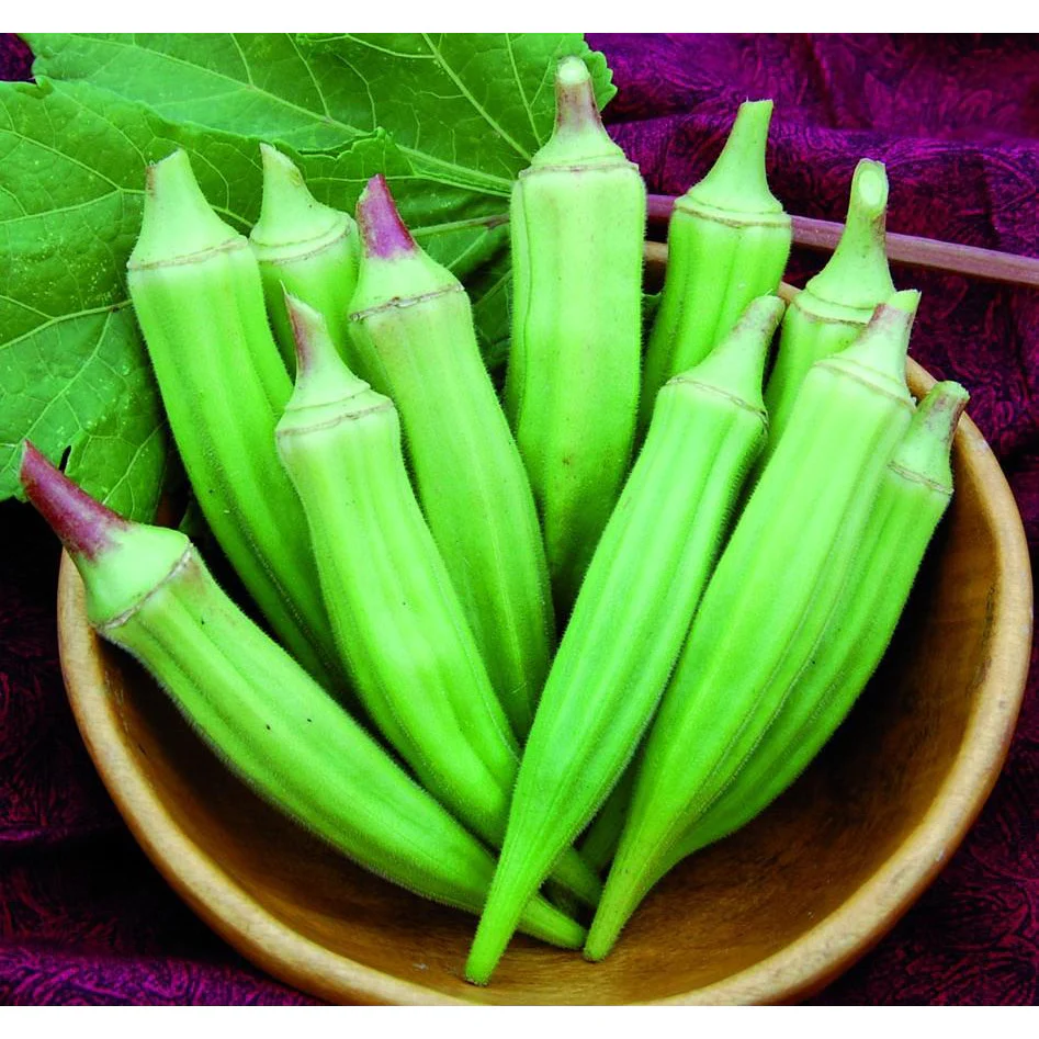 Okra Seed Clemson Spineless - Image 2