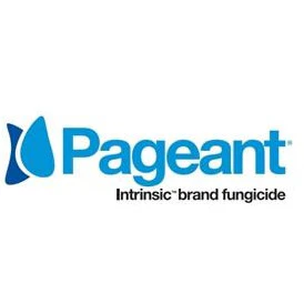 Pageant Intrinsic Brand Fungicide - 12 Lbs.