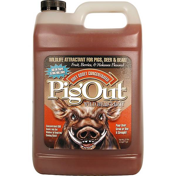PigOut Attractant - 1 Gallon