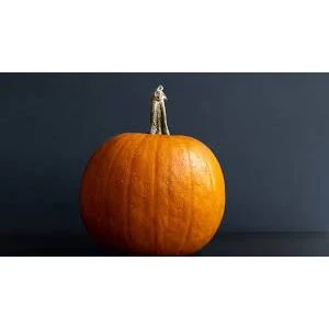 Pumpkin Connecticut Field Seed - 1 Packet