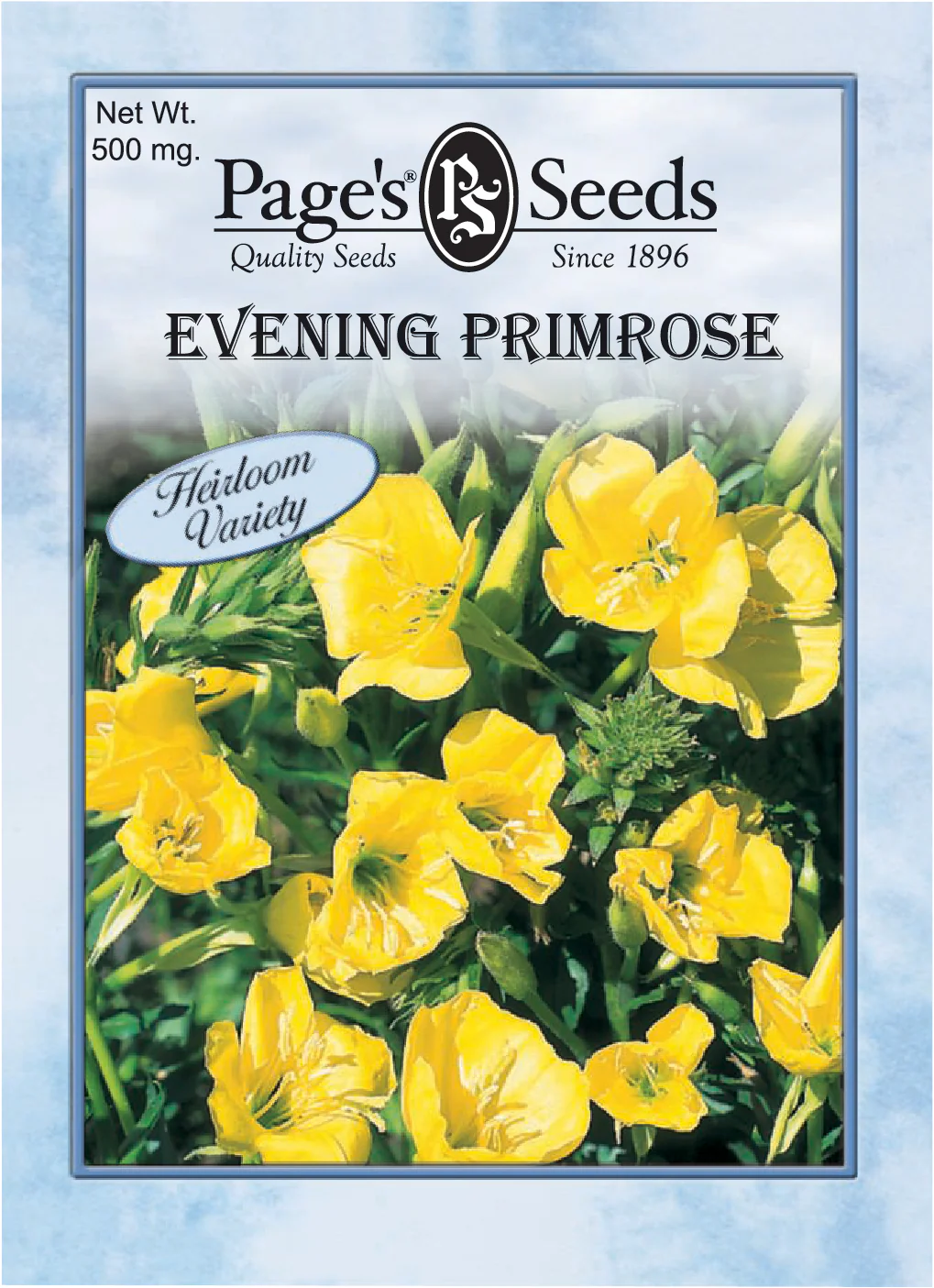 Evening Primrose Seeds - 1 Packet
