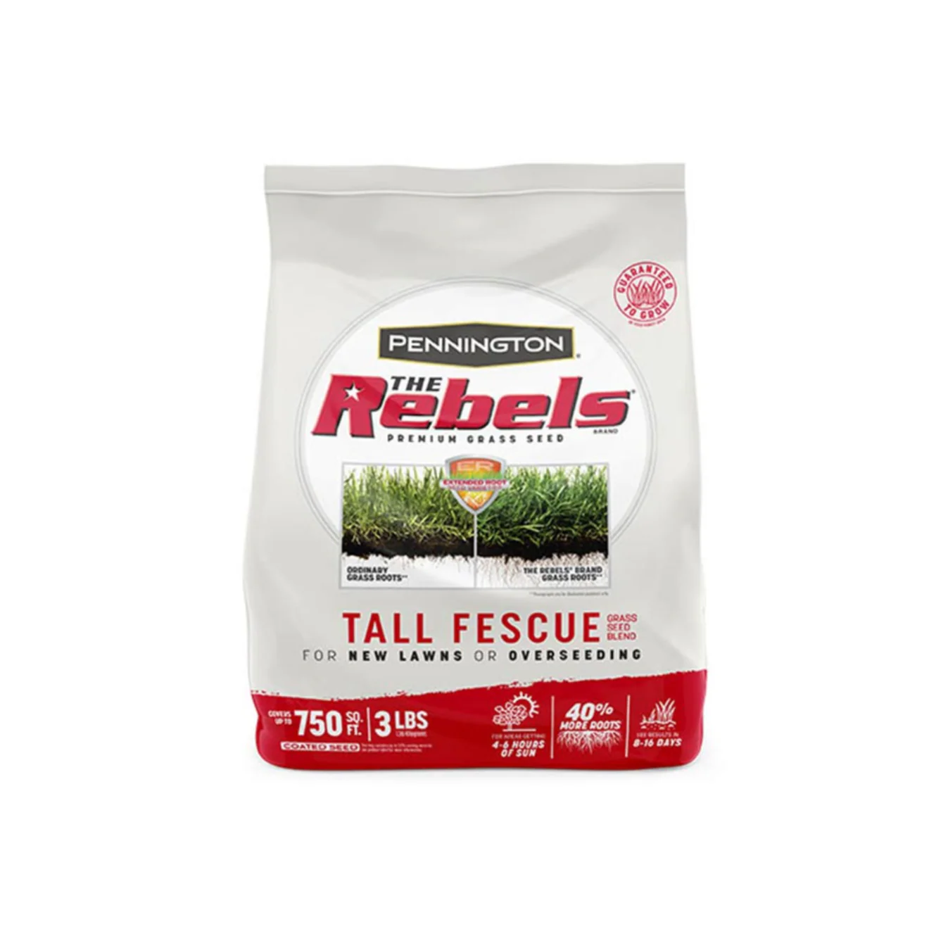 Pennington Rebels Tall Fescue Grass Seed - Image 3