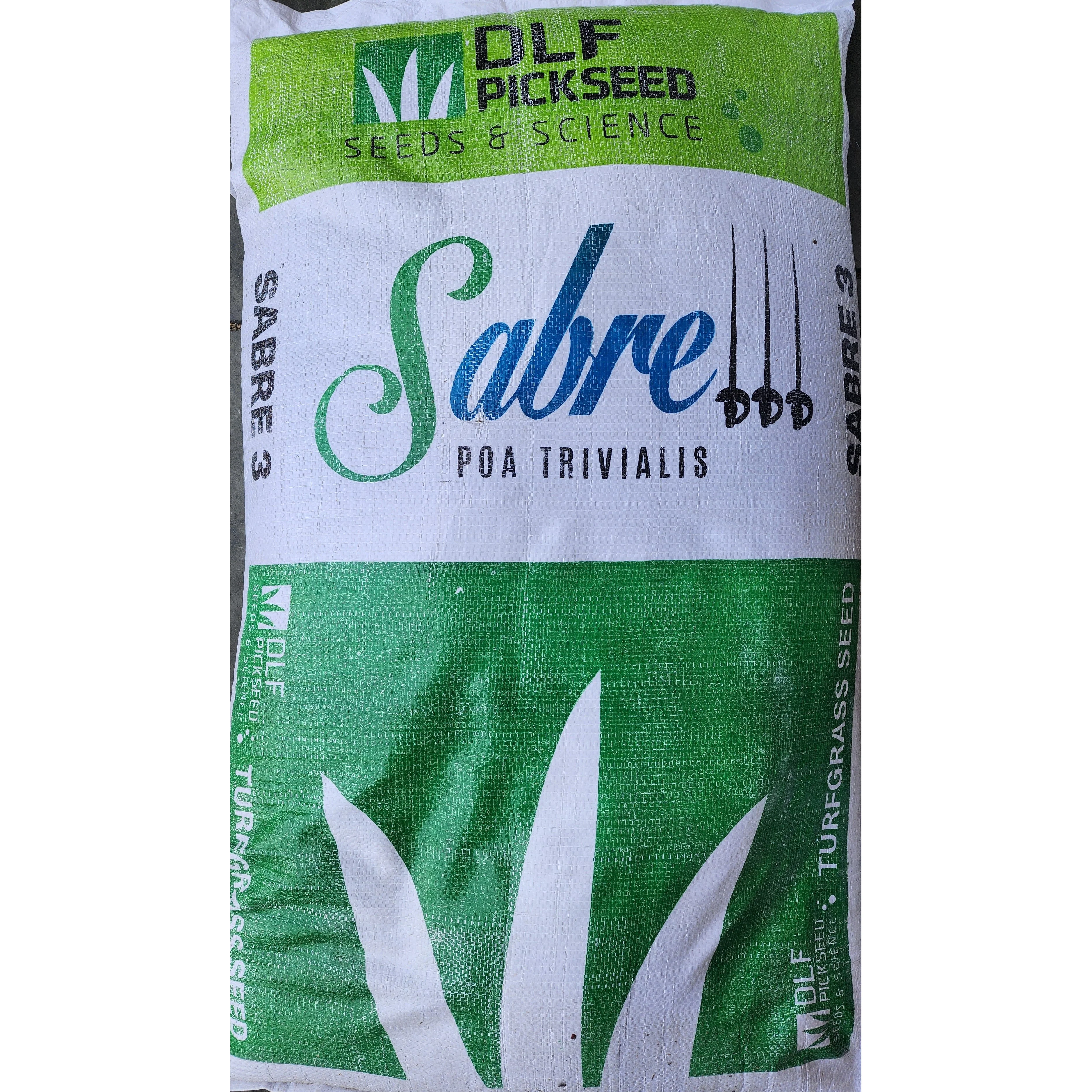 Sabre POA Trivialis Certified Treated Seeds - Image 2