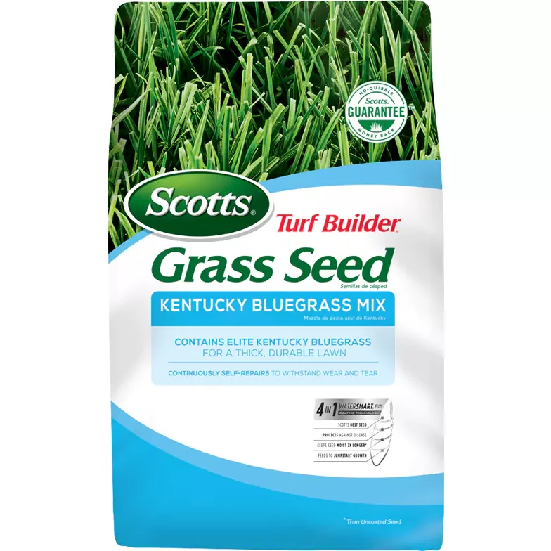 Scotts Turf Builder Kentucky Bluegrass Seed - 2.4 Lbs.