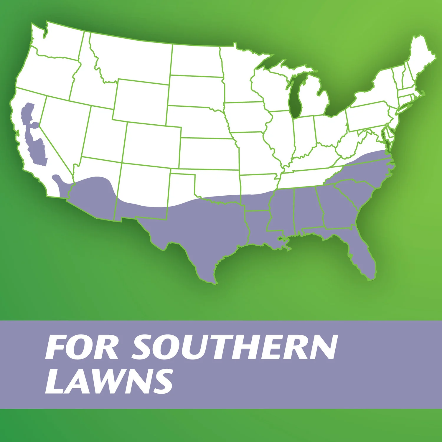 Scotts Zoysia Grass Seed - Image 3