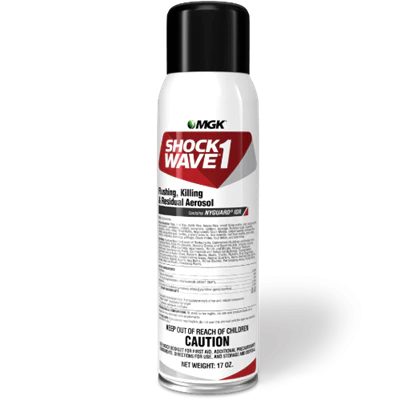 Shockwave 1 Pyrethrum and Bifenthrin Insecticide - 17 Oz Aerosol