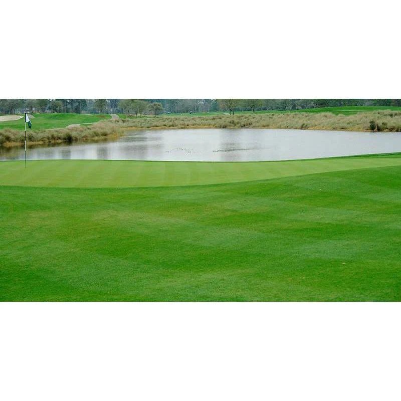 Southern Supreme Perennial Ryegrass Seed