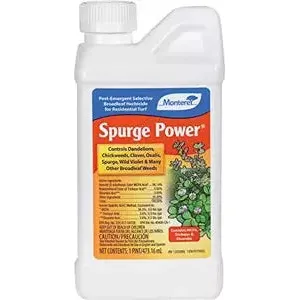 Spurge Power - 1 pint