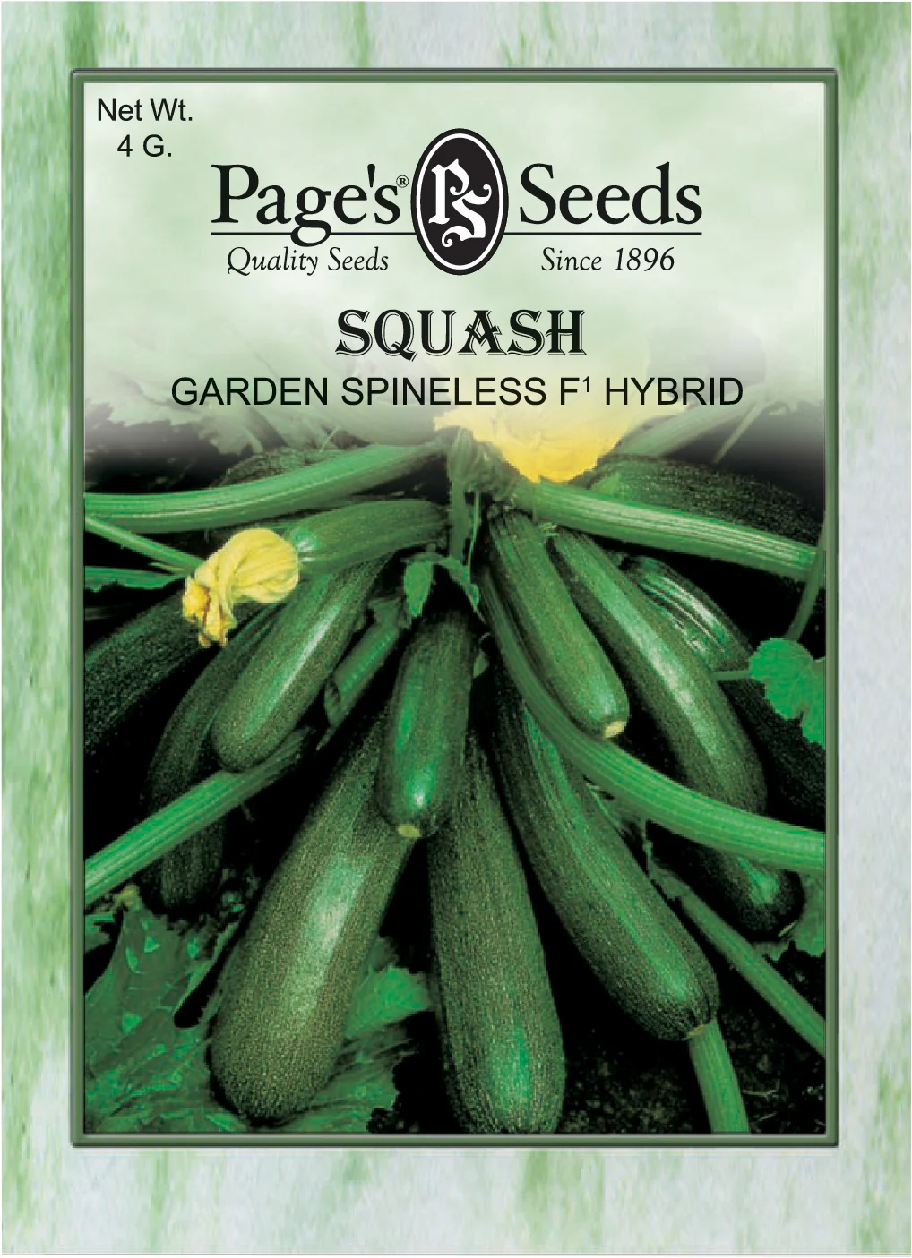 Squash Garden Spineless Hybrid Seeds - 1 packet