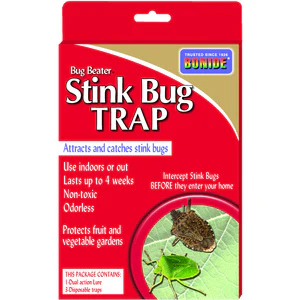 Stink Bug Trap