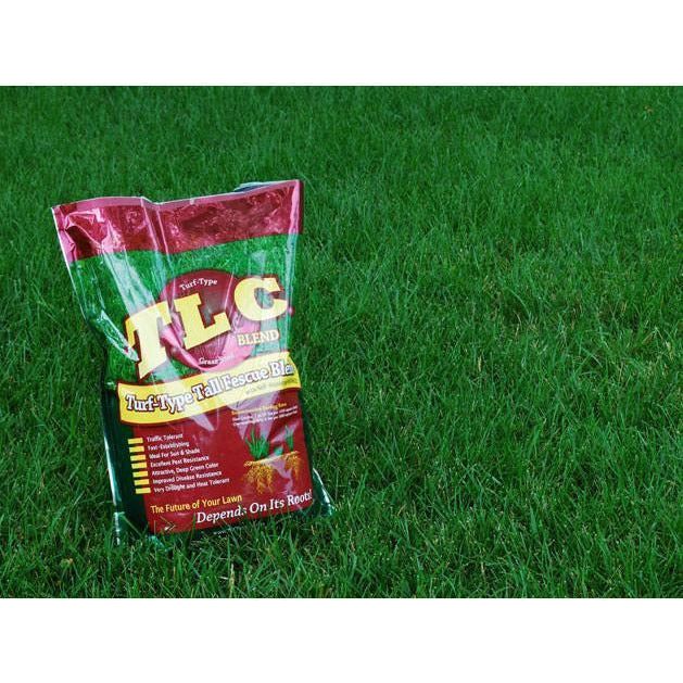 TLC Tall Fescue Grass Seed Blend
