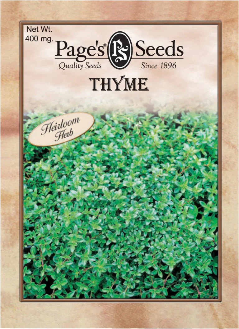 Thyme Seeds - 1 Packet